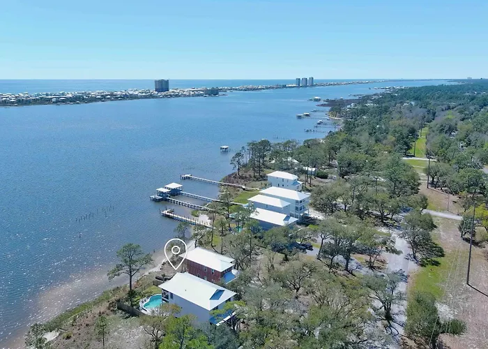 Live Oak